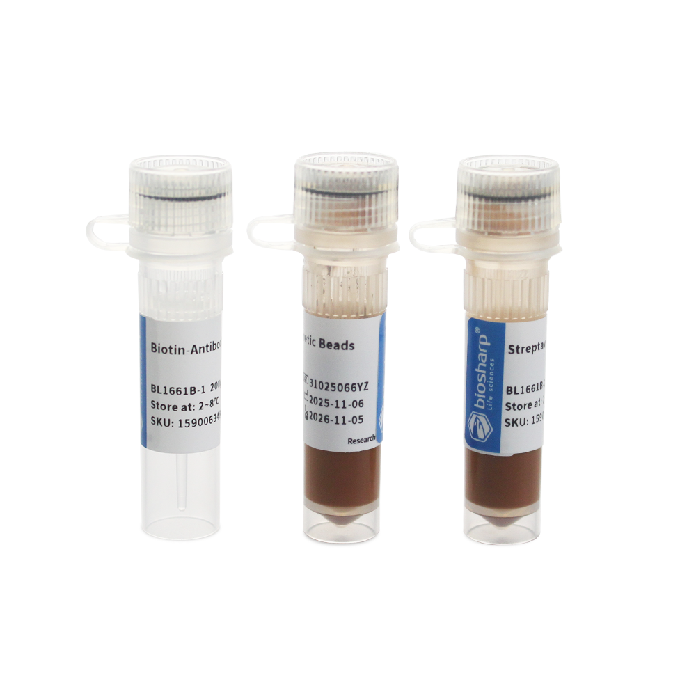 BL1661B 人CD3+ T细胞磁珠法分选试剂盒（阴选） - Biosharp/白鲨