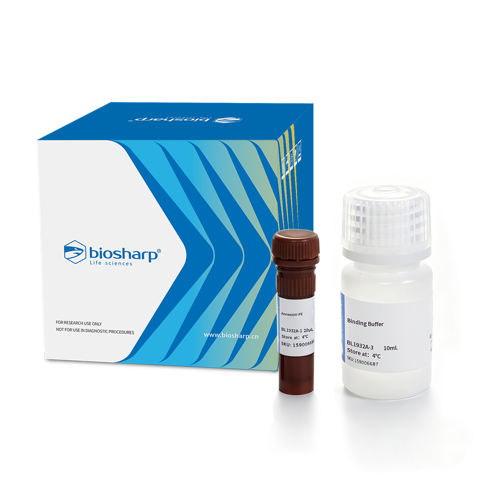 BL1932A Annexin V-PE 细胞凋亡检测试剂盒 - Biosharp/白鲨