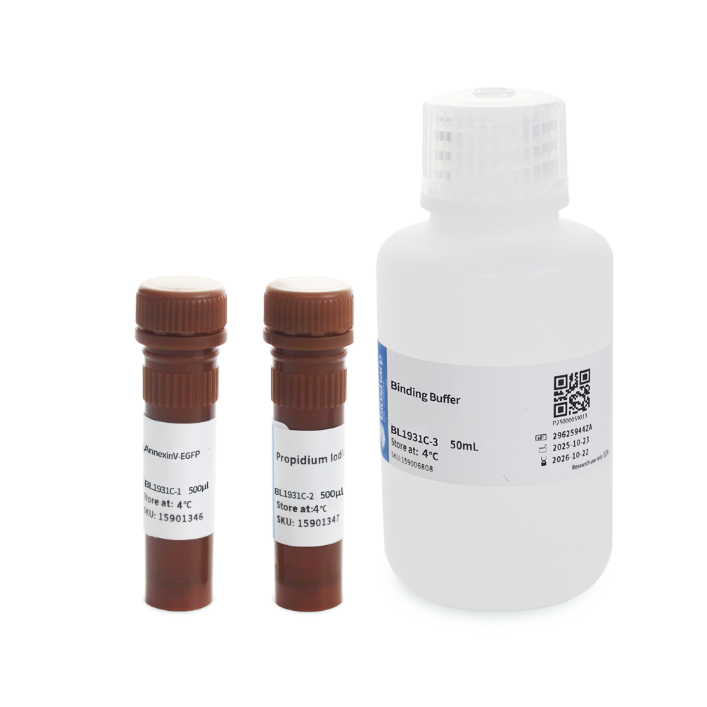 BL1931C Annexin V-EGFP/PI 双染细胞凋亡检测试剂盒 - Biosharp/白鲨