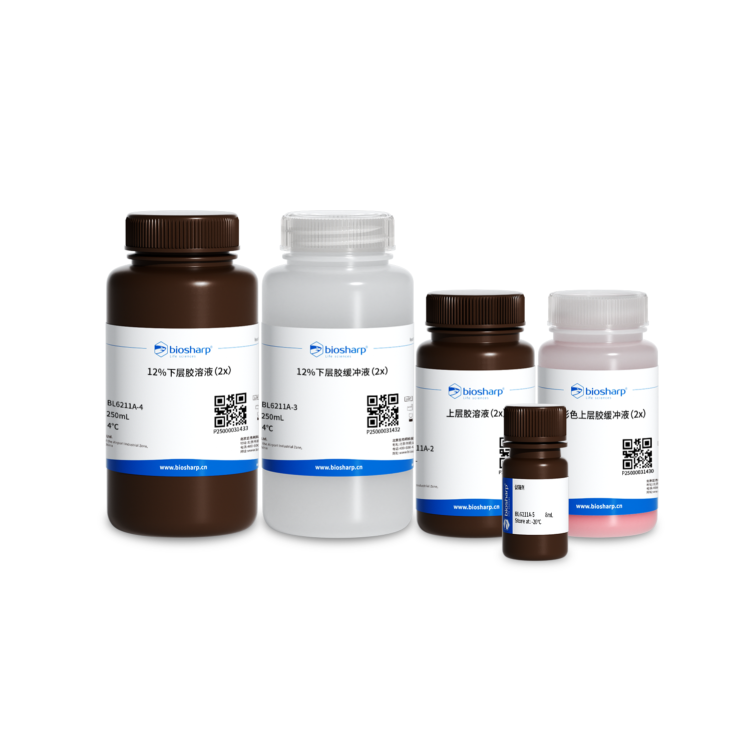 BL6211A 12% 免染PAGE凝胶快速制备试剂盒(红色) - Biosharp/白鲨