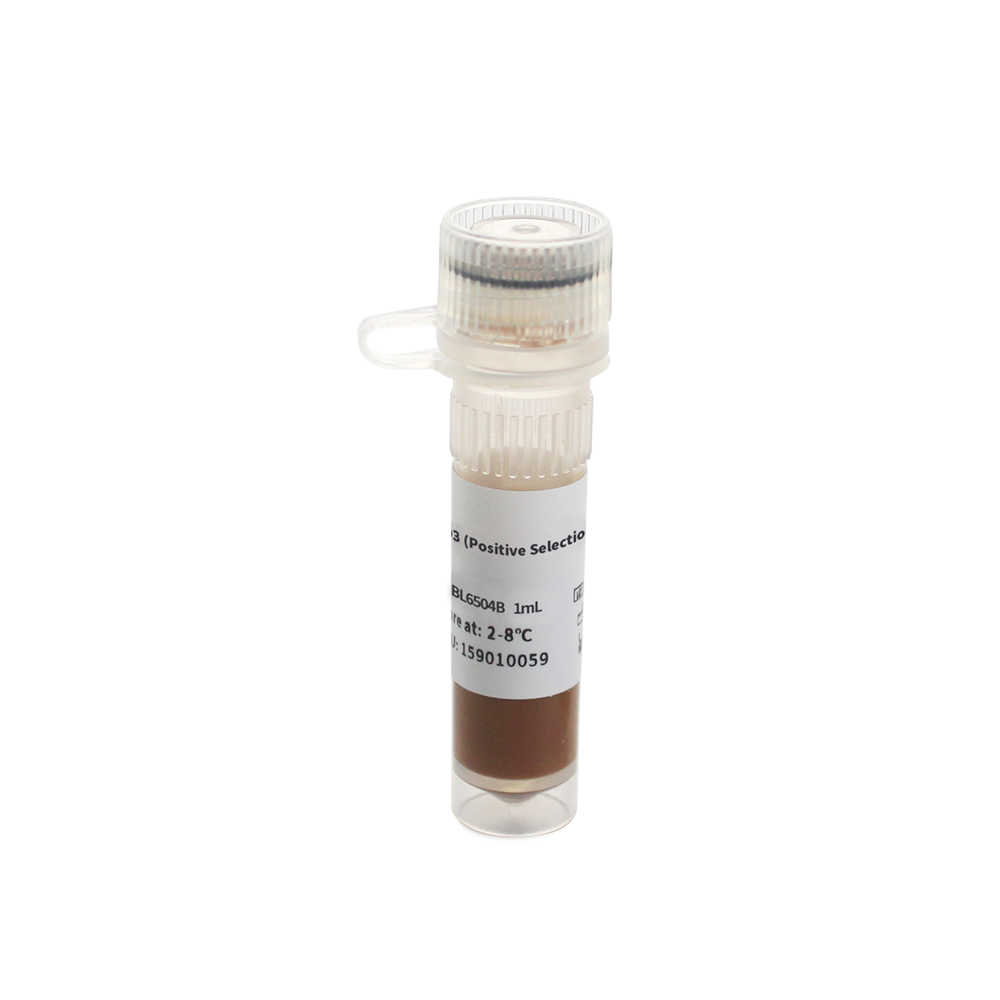 BL6504B 人CD3磁珠（阳选） - Biosharp/白鲨