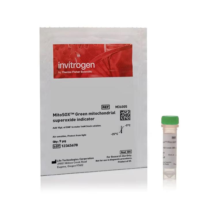 M36005 线粒体超氧化物指示剂，用于活细胞成像 - Invitrogen