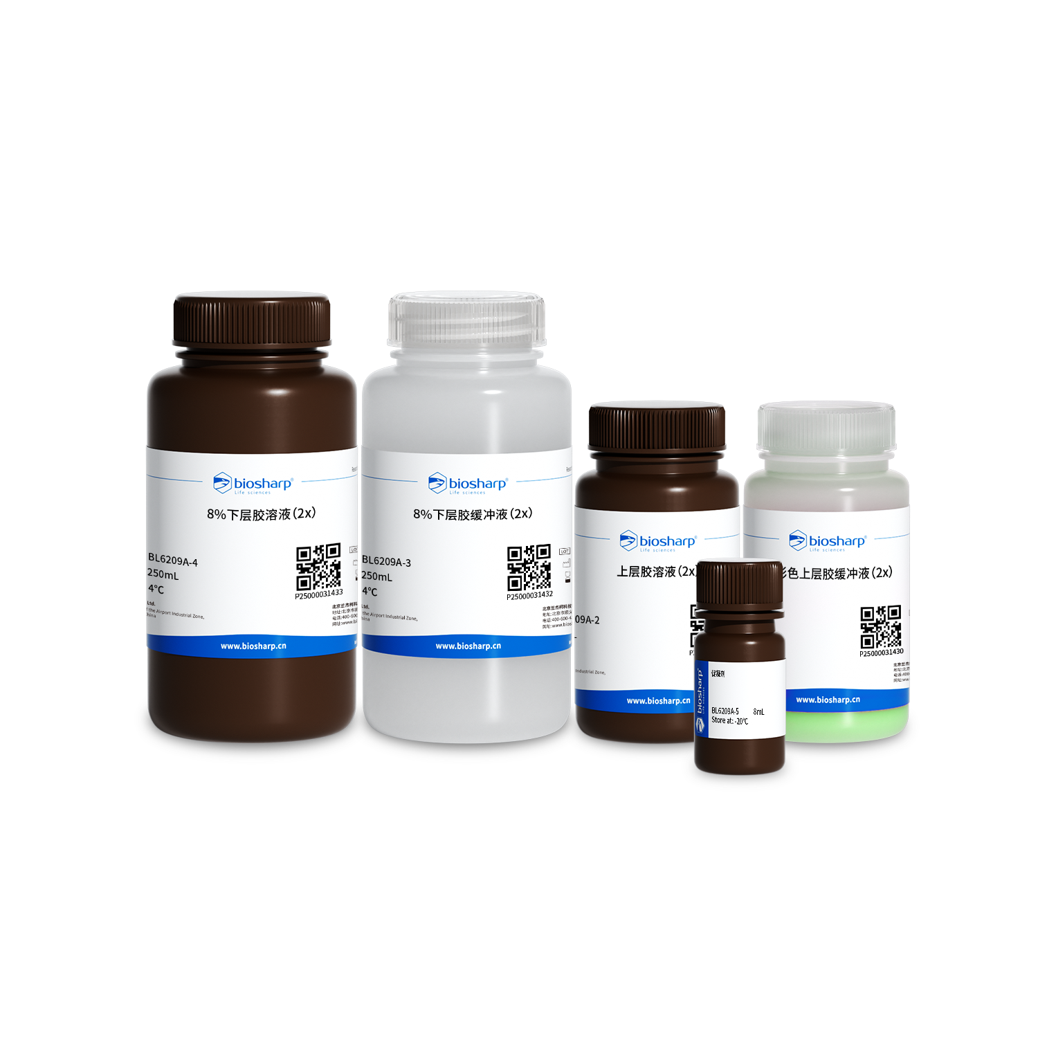 BL6209A 8% 免染PAGE凝胶快速制备试剂盒(绿色) - Biosharp/白鲨