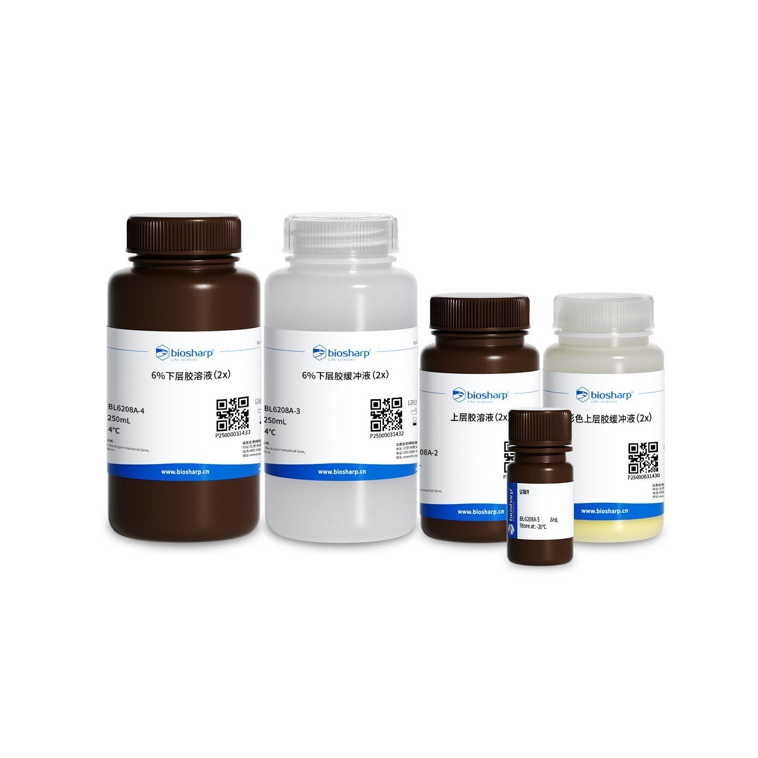 BL6208A 6% 免染PAGE凝胶快速制备试剂盒(黄色) - Biosharp/白鲨