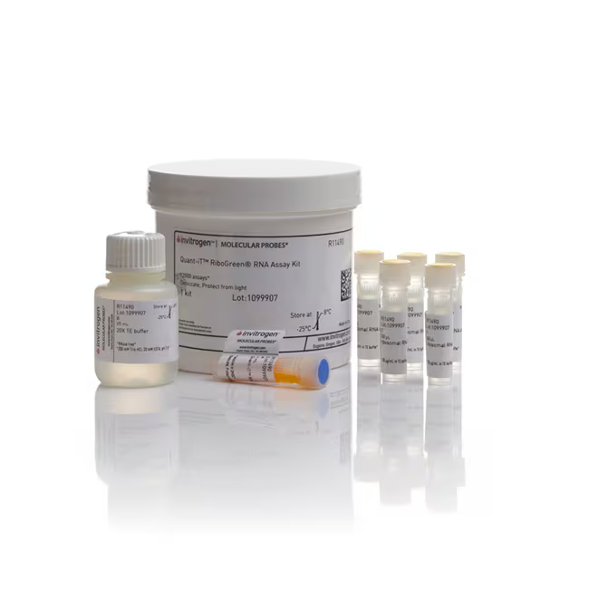 R11490 定量试剂盒 - Invitrogen