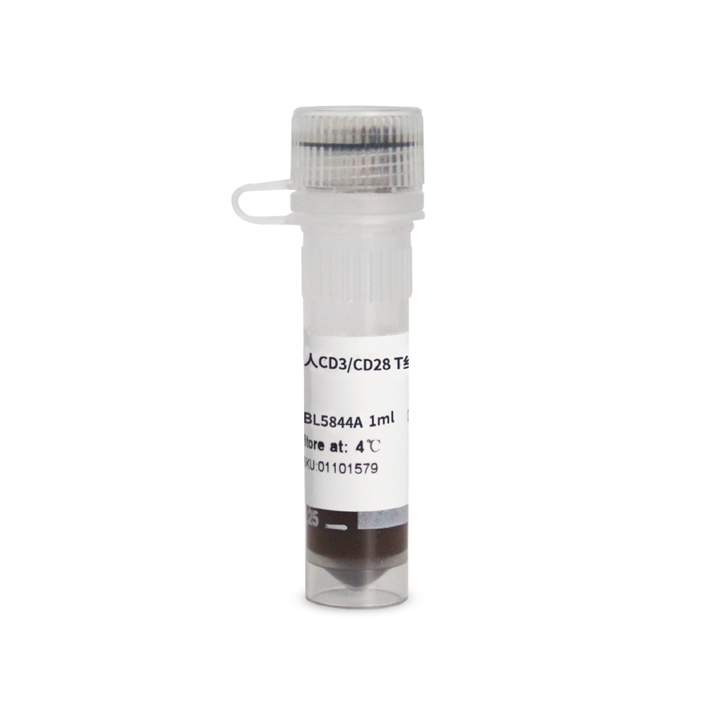 BL5844A 人CD3/CD28 T细胞激活磁珠 - Biosharp/白鲨