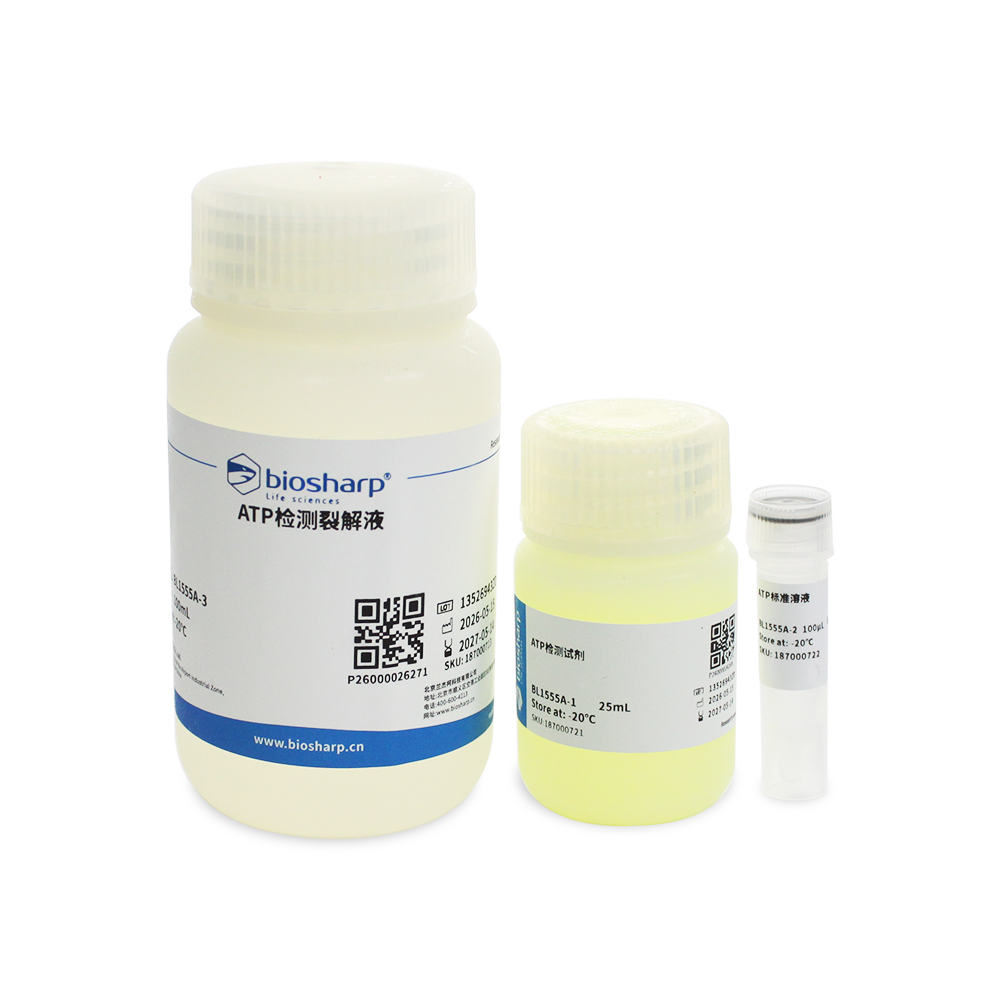 BL1555A 增强型ATP检测试剂盒（0.1nM） - Biosharp/白鲨