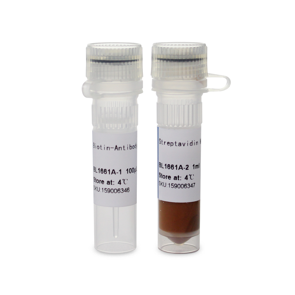 BL1661A 人CD3+ T细胞磁珠法分选试剂盒（阴选） - Biosharp/白鲨