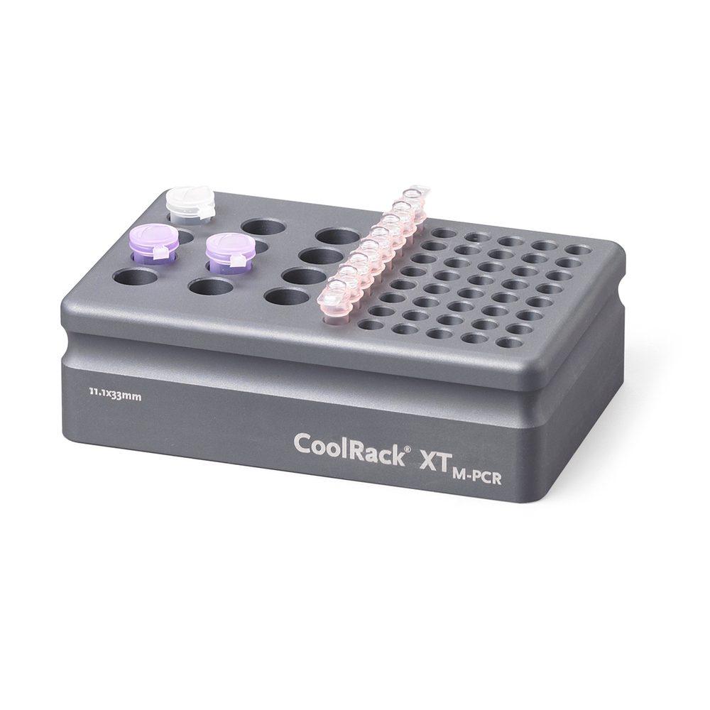 432054 CoolRack XT-M-PCR，适配12支1.5或2 mL微量离心管和6联管 - Corning/康宁
