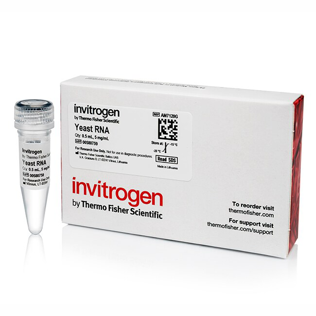 AM7120G Yeast RNA 酵母 RNA (5 mg/mL) - Invitrogen