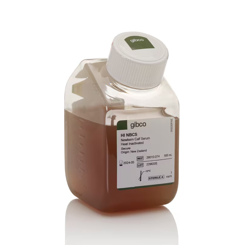 26010-074 新生牛血清，热灭活，新西兰来源 - Gibco