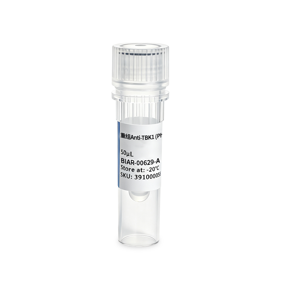 BIAR-00629-A 重组Anti-TBK1 (Phospho Ser172) Rabbit Monoclonal抗体 - Biosharp/白鲨