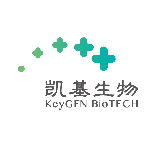 KGA1303-20 彗星电泳法检测细胞损伤试剂盒（含载玻片） - KeyGEN（江苏凯基）