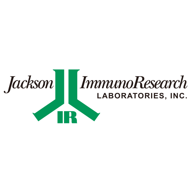 115-585-003 AF594 亲和纯化山羊抗小鼠IgG(H+L) - Jackson