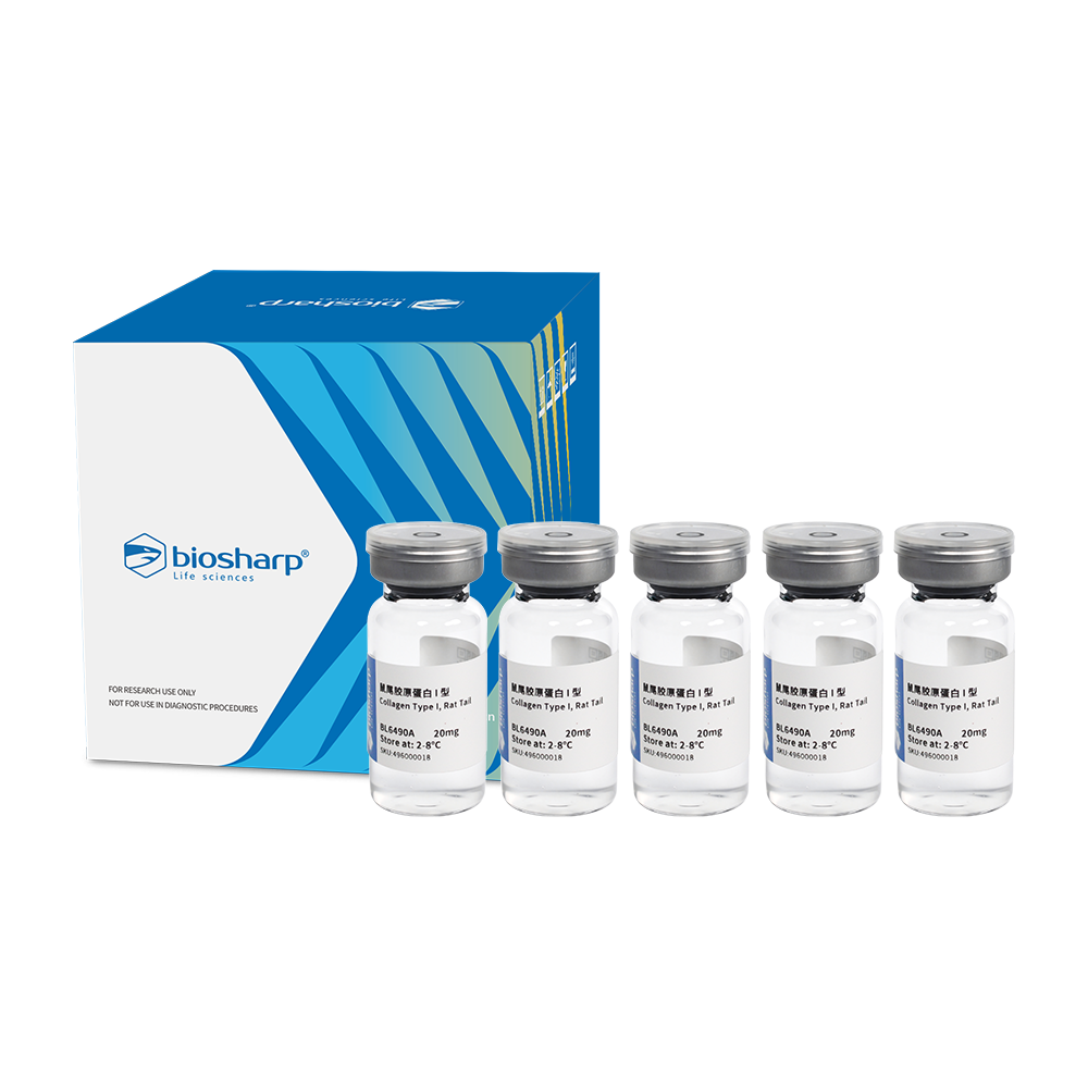 BL6490A 鼠尾胶原蛋白 I 型(Collagen Type I, Rat Tail) - Biosharp/白鲨