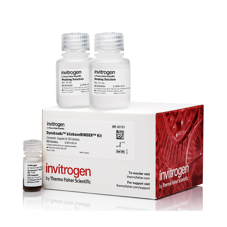 60101 Dynabeads MyOne 链霉亲和素 T1 - Invitrogen