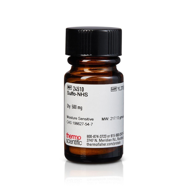 24510 Sulfo-NHS（N-羟基磺基琥珀酰亚胺） - PIERCE