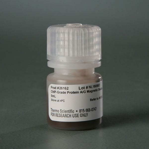 26162 ChIP 级蛋白A/G磁珠 - PIERCE