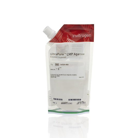 16520-050 超纯，低熔点琼脂糖 - Invitrogen