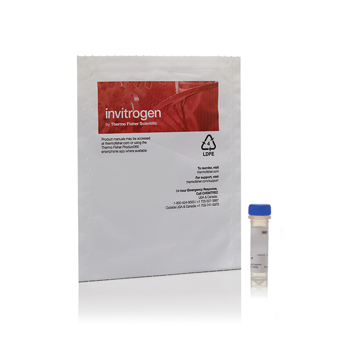 V22887 Vybrant DiO 细胞标记溶液 - Invitrogen