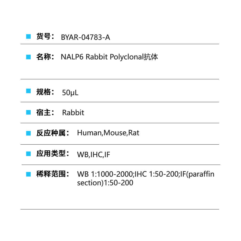 BYAR-04783-A NALP6 Rabbit Polyclonal抗体
