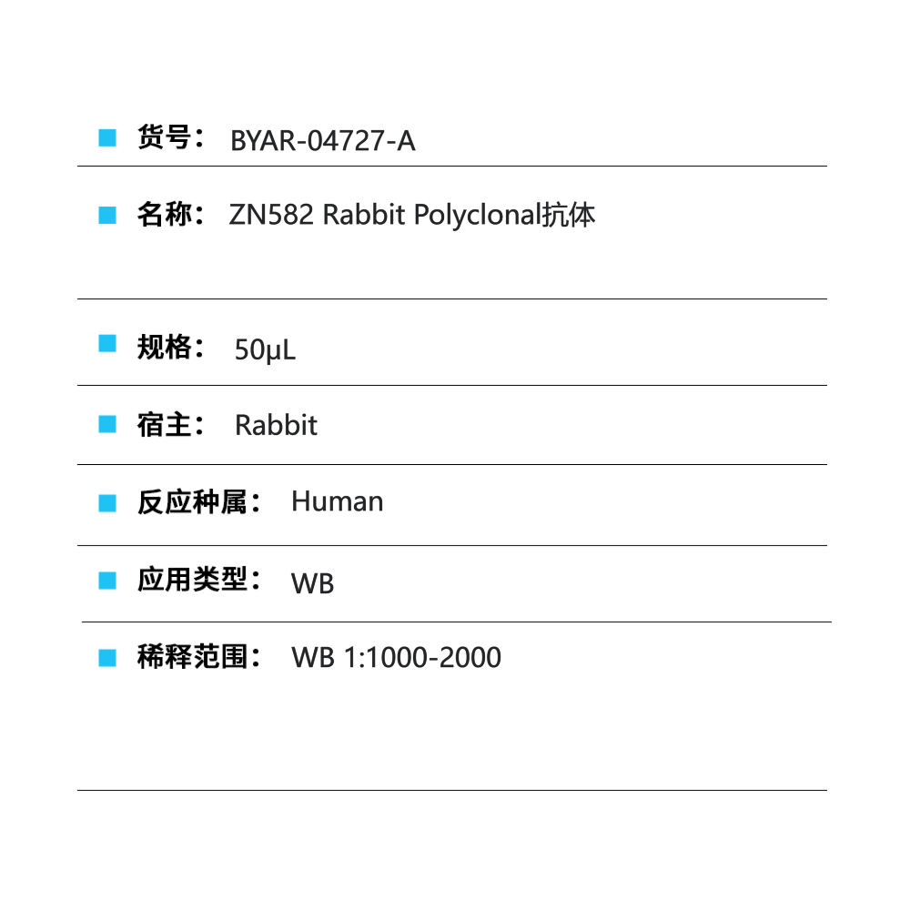 BYAR-04727-A ZN582 Rabbit Polyclonal抗体 - Biosharp/白鲨