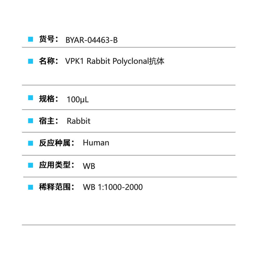 BYAR-04463-B VPK1 Rabbit Polyclonal抗体 - Biosharp/白鲨