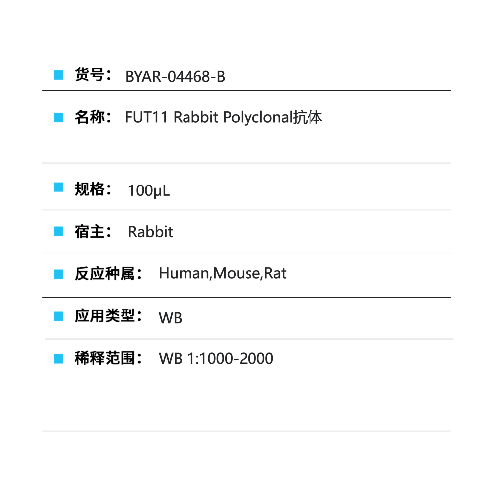 BYAR-04468-B FUT11 Rabbit Polyclonal抗体 - Biosharp/白鲨