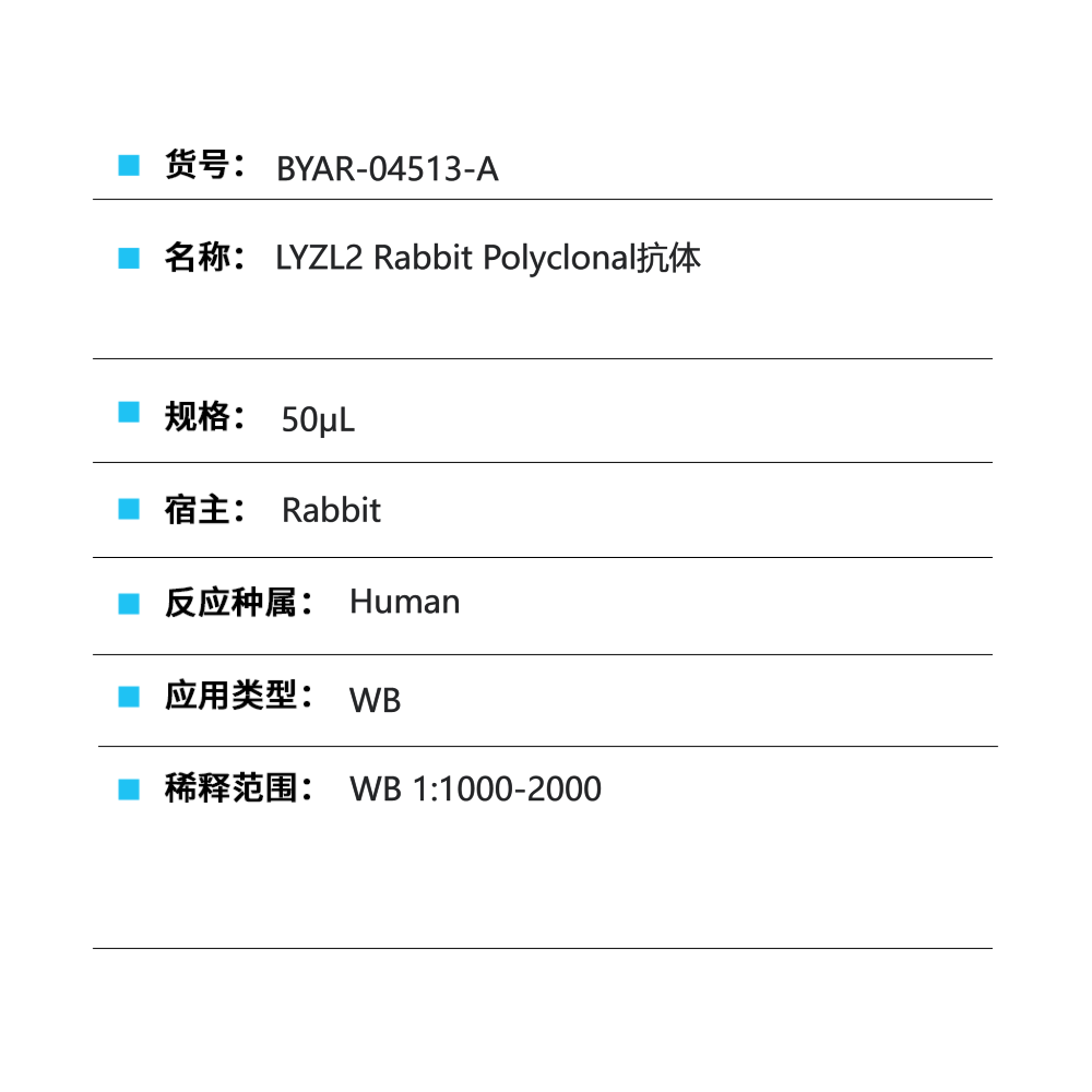 BYAR-04513-A LYZL2 Rabbit Polyclonal抗体