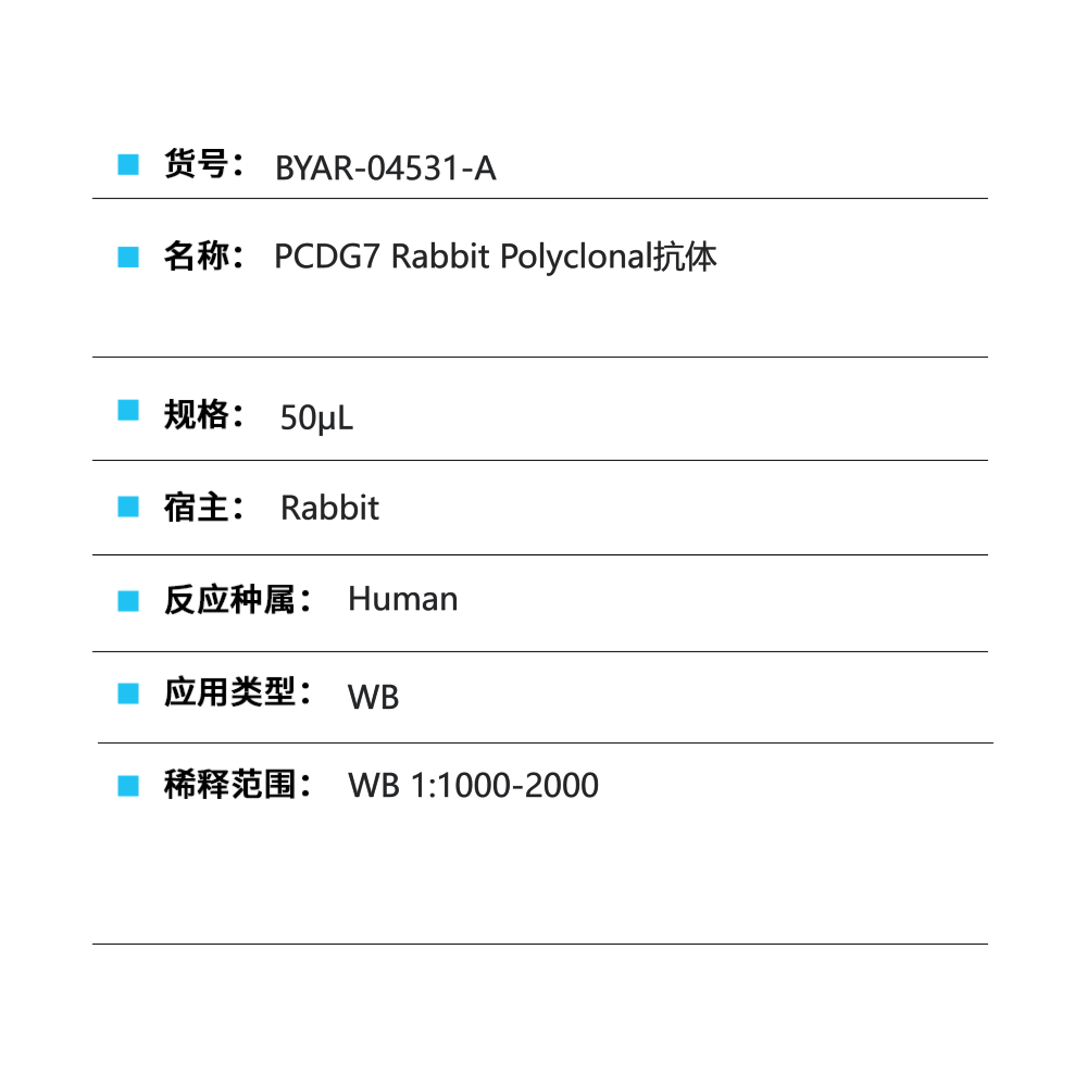 BYAR-04531-A PCDG7 Rabbit Polyclonal抗体
