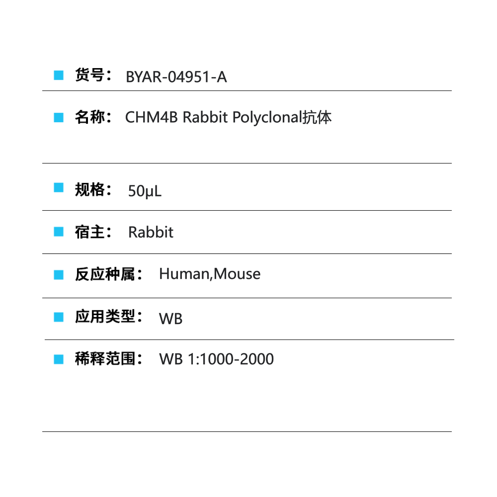 BYAR-04951-A CHM4B Rabbit Polyclonal抗体 - Biosharp/白鲨