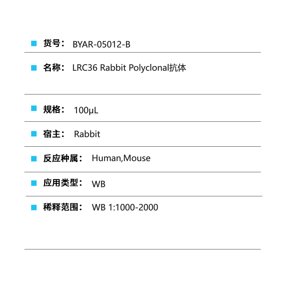 BYAR-05012-B LRC36 Rabbit Polyclonal抗体