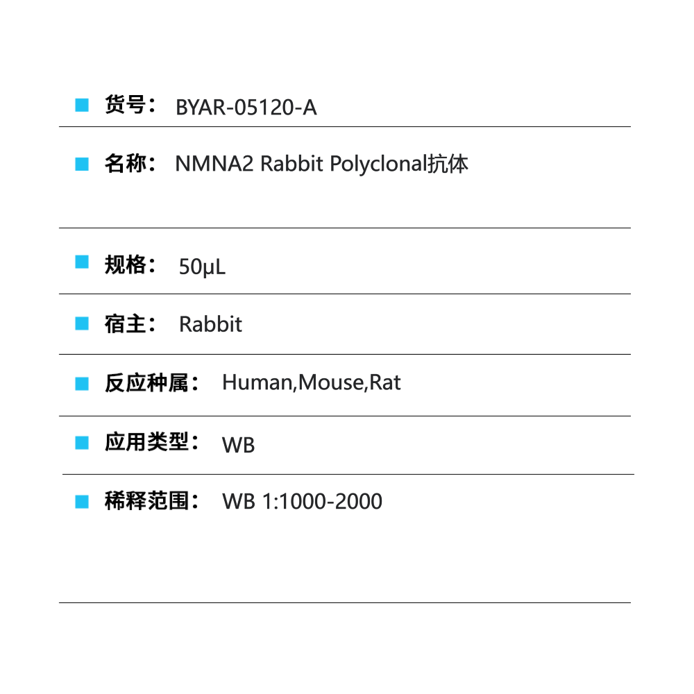 BYAR-05120-A NMNA2 Rabbit Polyclonal抗体 - Biosharp/白鲨