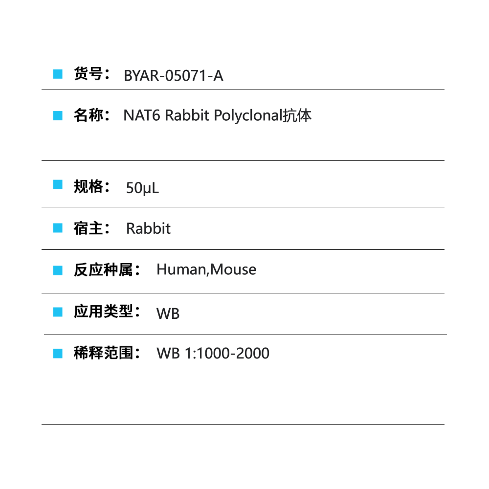 BYAR-05071-A NAT6 Rabbit Polyclonal抗体 - Biosharp/白鲨