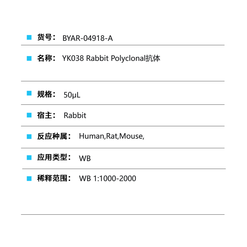 BYAR-04918-A YK038 Rabbit Polyclonal抗体 - Biosharp/白鲨