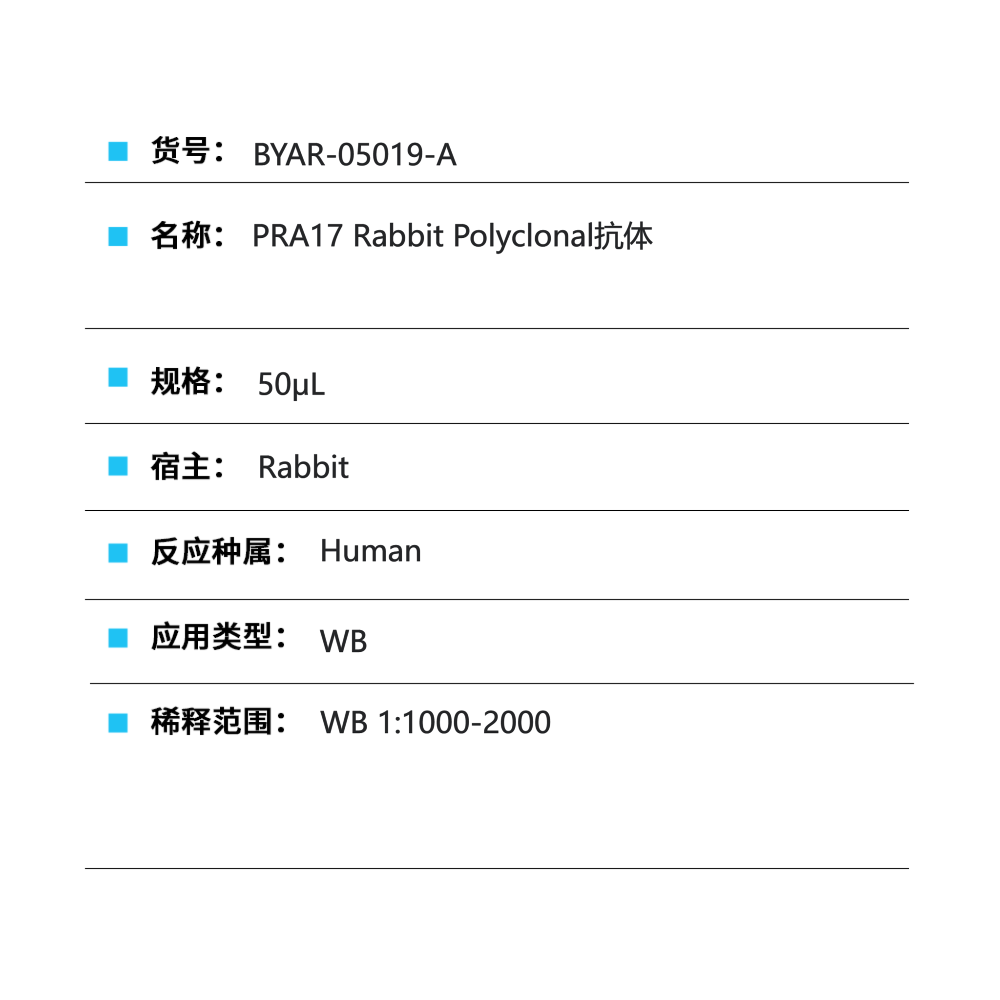 BYAR-05019-A PRA17 Rabbit Polyclonal抗体