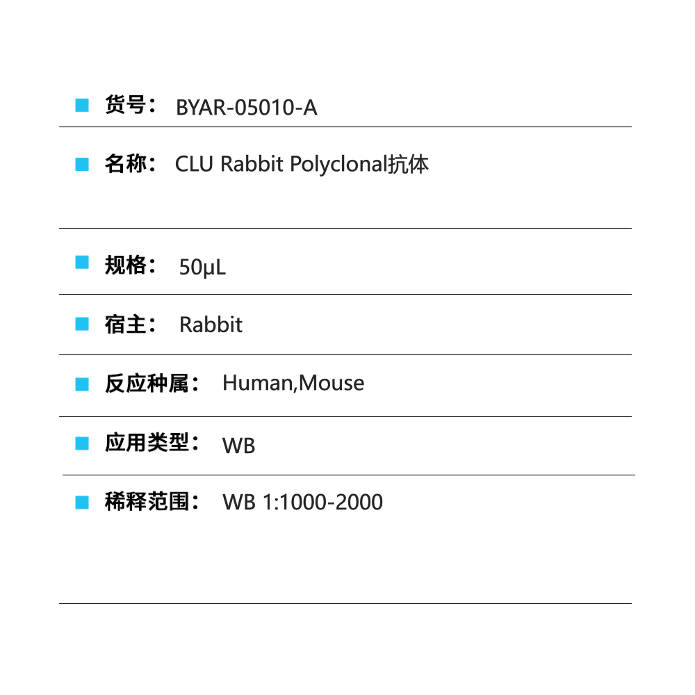 BYAR-05010-A CLU Rabbit Polyclonal抗体