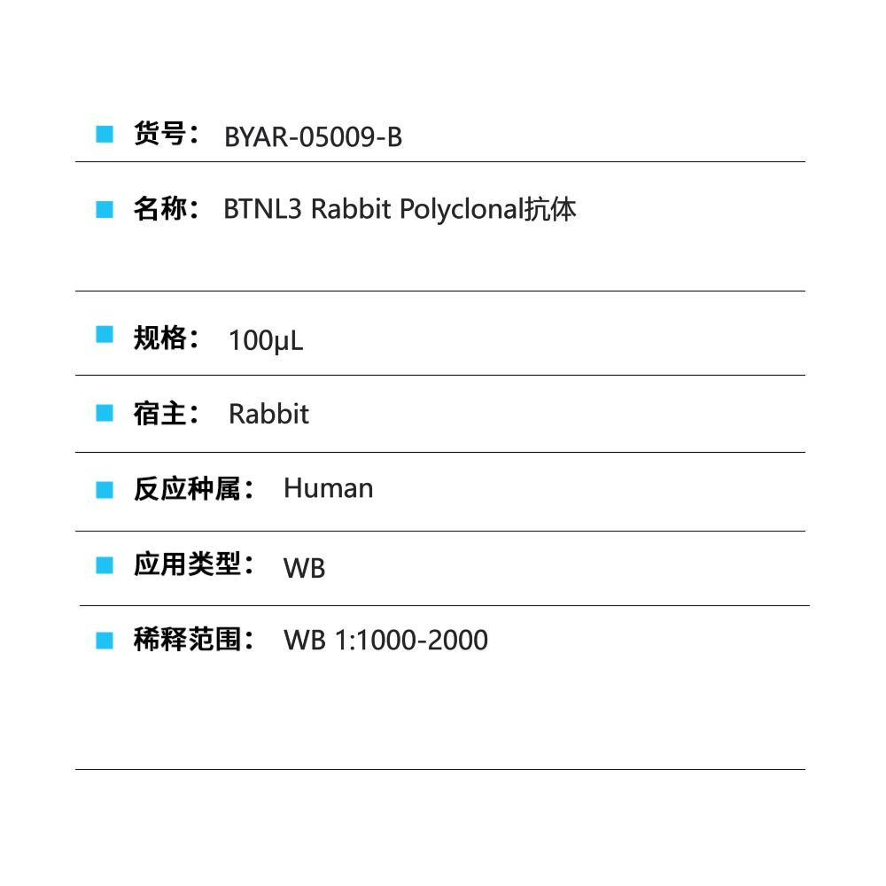 BYAR-05009-B BTNL3 Rabbit Polyclonal抗体