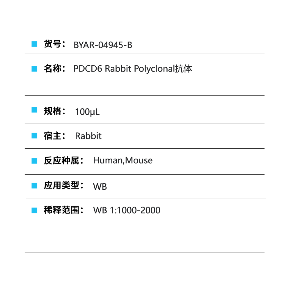 BYAR-04945-B PDCD6 Rabbit Polyclonal抗体 - Biosharp/白鲨