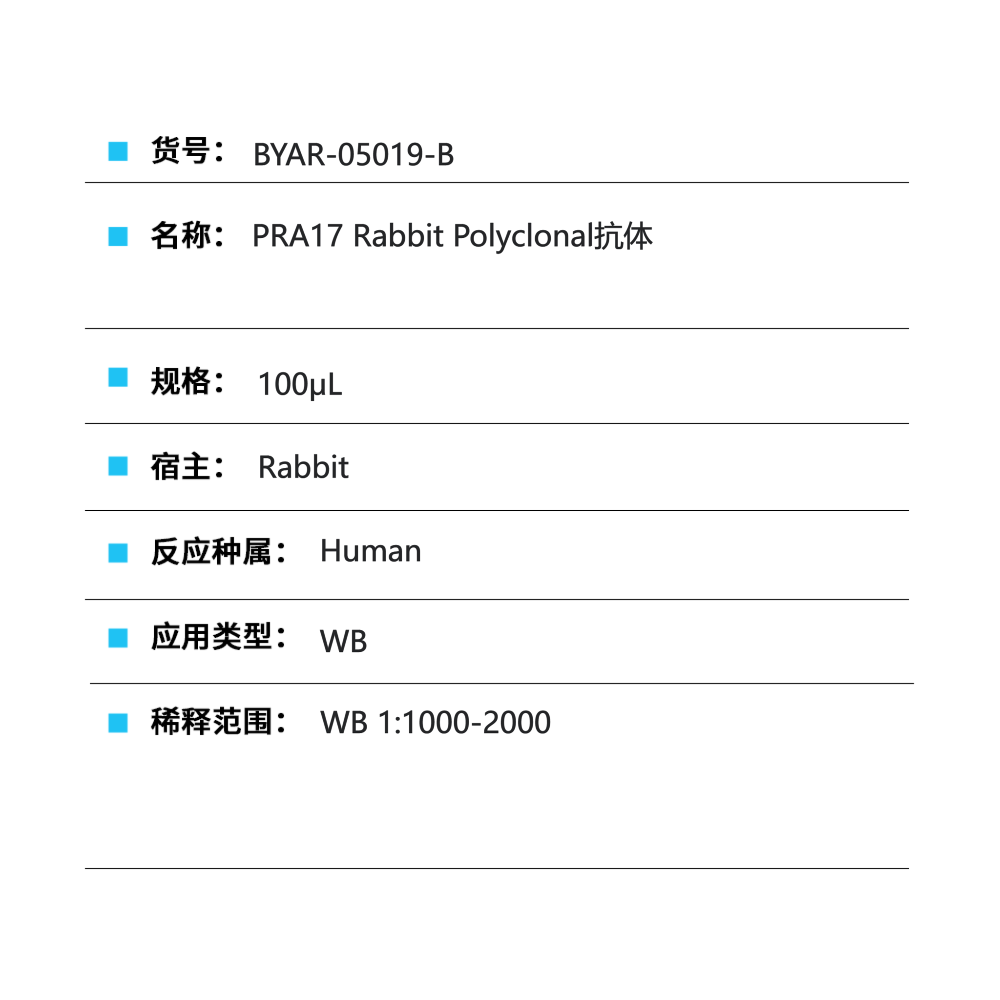 BYAR-05019-B PRA17 Rabbit Polyclonal抗体