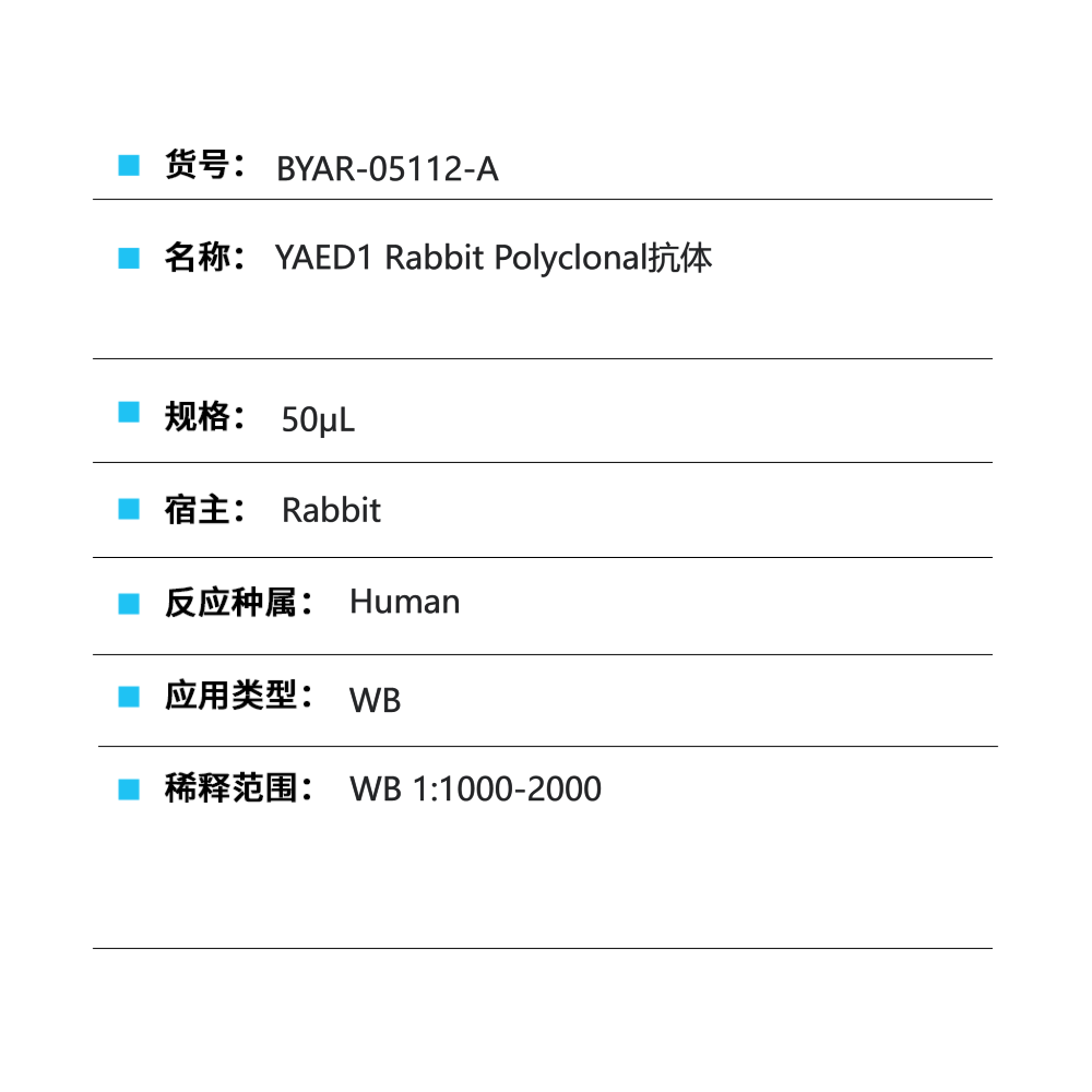 BYAR-05112-A YAED1 Rabbit Polyclonal抗体 - Biosharp/白鲨