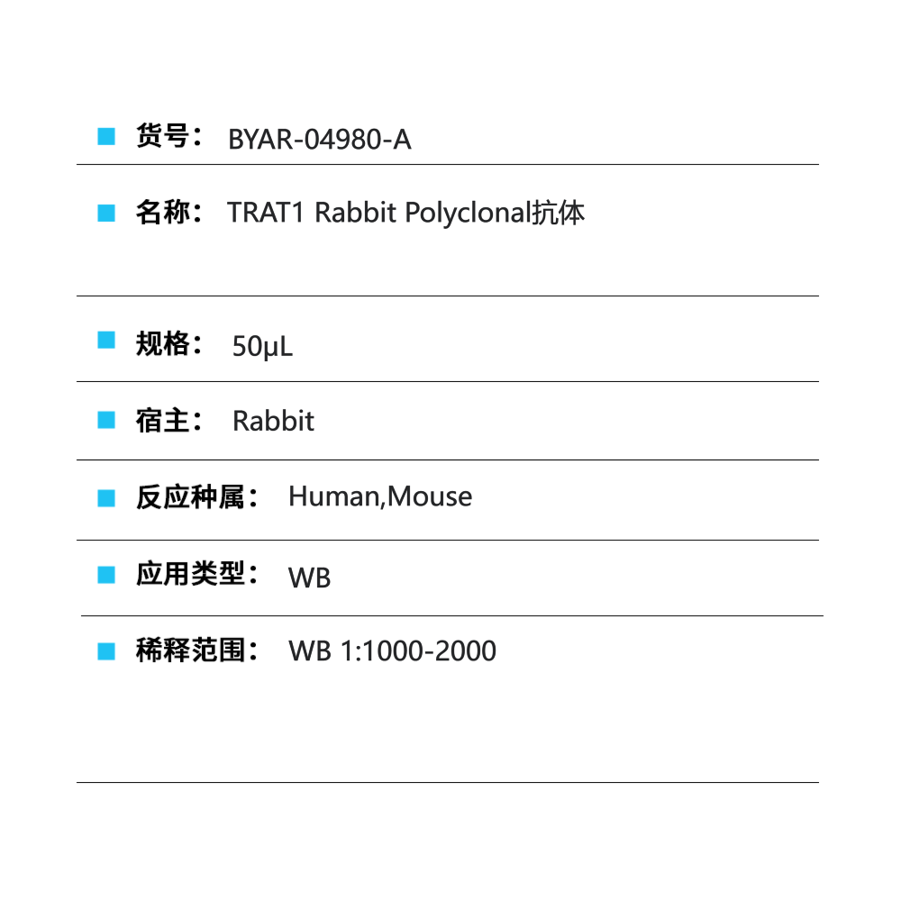BYAR-04980-A TRAT1 Rabbit Polyclonal抗体 - Biosharp/白鲨