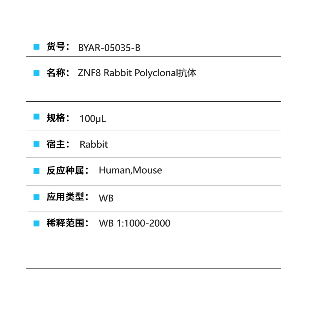 BYAR-05035-B ZNF8 Rabbit Polyclonal抗体