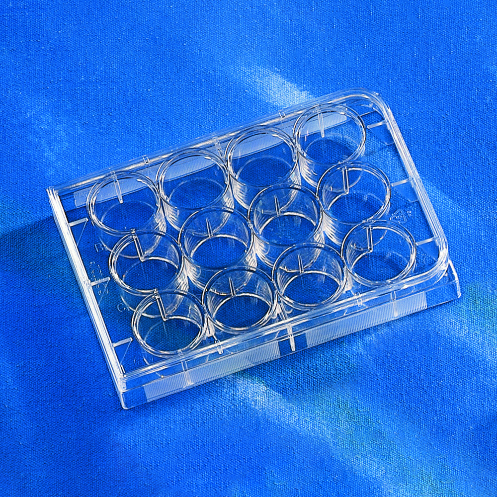 3336 12孔板 透明 平底 CellBIND表面 - Corning/康宁