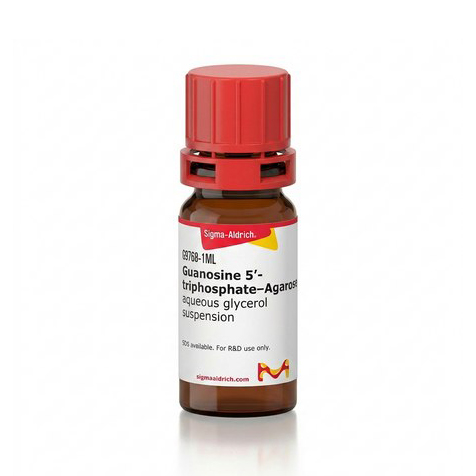 G9768-1ML 鸟苷 5′--三磷酸盐-琼脂糖 - Sigma-aldrich/西格玛