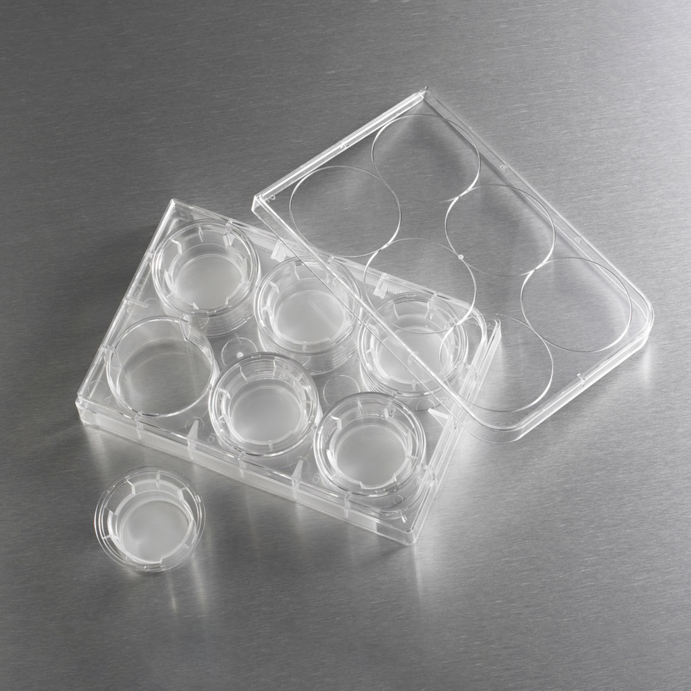 3452 Transwell嵌套，含6孔板 (PET膜，24mm，3.0um) - Corning/康宁