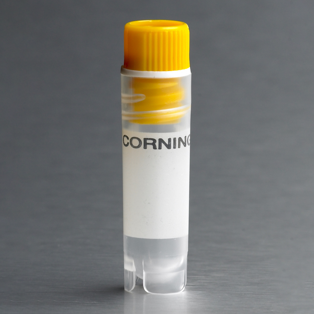 431417 2ml可立内旋冻存管 - Corning/康宁