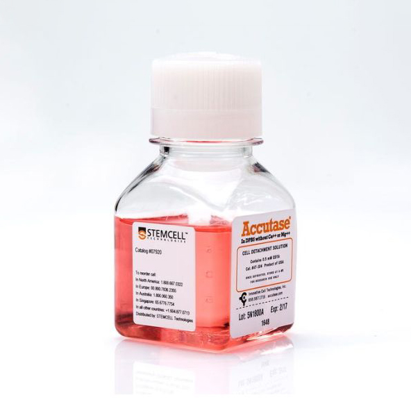 07922 Accutase细胞分离溶液 - STEMCELL