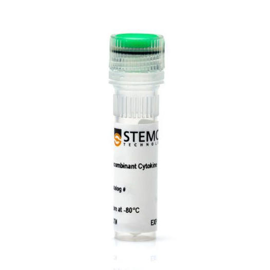 78019 重组人HGF（CHO表达）/肝细胞生长因子,50µg - STEMCELL