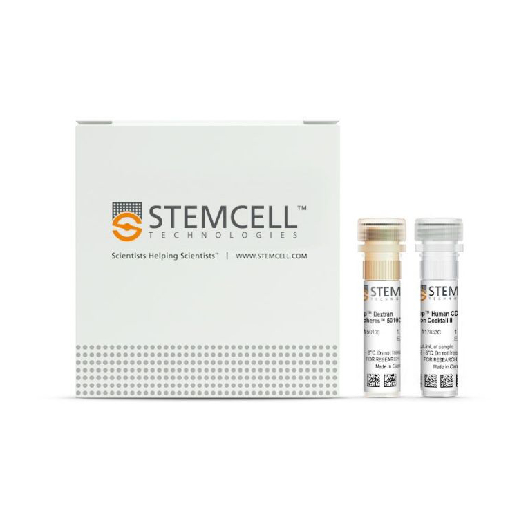 78131 人重组转化生长因子β3,10µg - STEMCELL